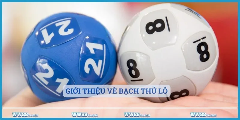 Định nghĩa bạch thủ lô là gì?