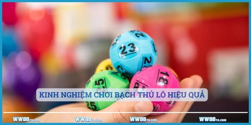 Kinh nghiệm bắt lô hiệu quả