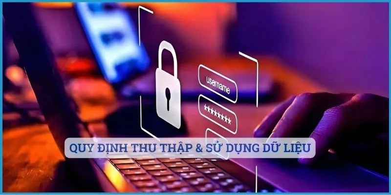 Quy định thu thập & sử dụng dữ liệu