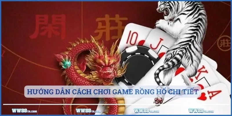 Hướng dẫn cách chơi game Rồng Hổ chi tiết