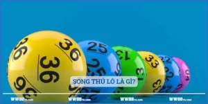 Song thủ lô là gì?