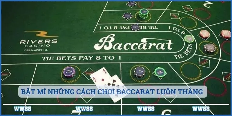 Đừng nên đặt cược Baccarat ở tỷ lệ quá cao